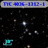 TYC 4036-1312-1