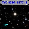 TYC 4036-1577-1