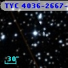 TYC 4036-2667-1