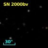 SN 2000bv