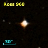 Ross  968