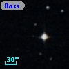 Ross  969