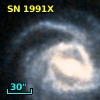 SN 1991X