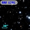 RRF 1295