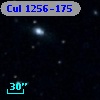 Cul 1256-175