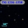 TXS 1256-175B