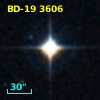 BD-19  3606