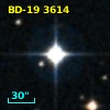 BD-19  3614