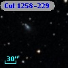 Cul 1258-229