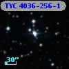 TYC 4036-256-1