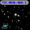 TYC 4036-460-1