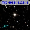 TYC 4036-1126-1