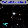 TYC 4036-1160-1
