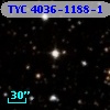 TYC 4036-1188-1