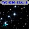 TYC 4036-1291-1