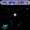 TYC 4036-1307-1