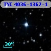 TYC 4036-1367-1