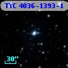 TYC 4036-1393-1