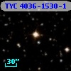TYC 4036-1530-1