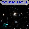 TYC 4036-1562-1