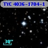 TYC 4036-1704-1