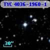 TYC 4036-1960-1