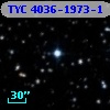 TYC 4036-1973-1