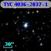 TYC 4036-2037-1