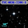 TYC 4036-2206-1