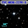 TYC 4036-2276-1