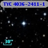 TYC 4036-2411-1