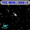 TYC 4036-2666-1
