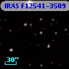 IRAS F12541-3509