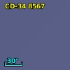 CD-34  8567