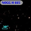 NOGG H  665