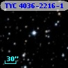 TYC 4036-2216-1