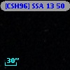 [CSH96] SSA 13  50