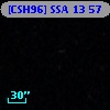 [CSH96] SSA 13  57