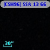 [CSH96] SSA 13  66