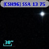 [CSH96] SSA 13  75