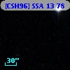 [CSH96] SSA 13  78