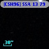 [CSH96] SSA 13  79