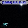 [CSH96] SSA 13  82