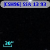 [CSH96] SSA 13  93