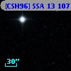 [CSH96] SSA 13 107