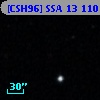 [CSH96] SSA 13 110