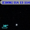 [CSH96] SSA 13 114
