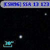 [CSH96] SSA 13 123