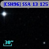 [CSH96] SSA 13 125
