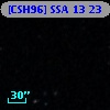 [CSH96] SSA 13  23